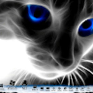 Meet your Posher, Beto